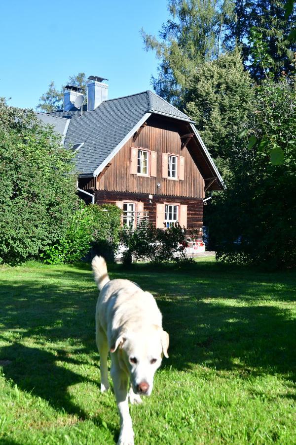 Naturforsthaus Ferienwohnung Fuer Hunde- Und Tierverbundene Menschen Preitenegg Экстерьер фото